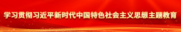 操大鸡巴视视频学习贯彻习近平新时代中国特色社会主义思想主题教育